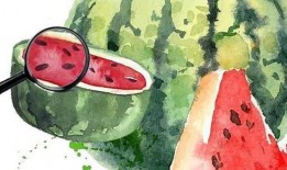 2020年吃瓜汇总,盘点娱乐圈、社会热点中的那些“瓜”