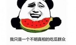 吃瓜在线什么意思,网络热词背后的文化现象