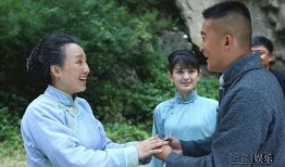 打狗棍电视剧70集,传奇家族的荣耀与挑战