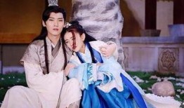 双世宠妃类似的电视剧