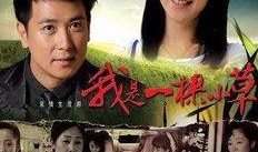 虐心电视剧推荐,盘点那些虐心至极的电视剧经典之作