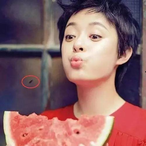 明星娱乐圈吃瓜杨颖图片